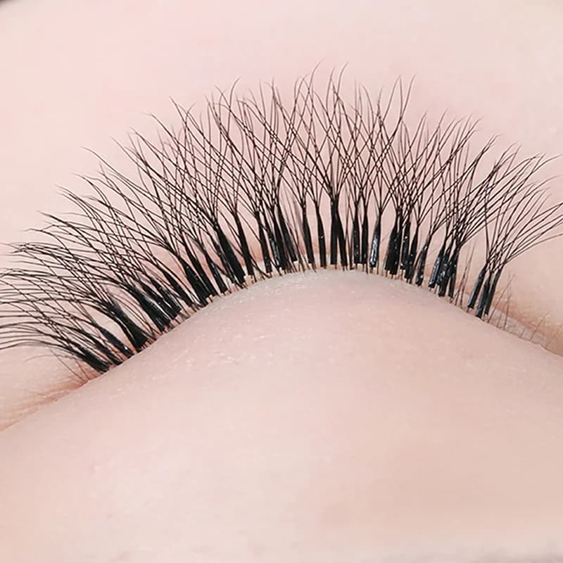 5D W Shape Premade Volume Fans C/D/L/M Curl