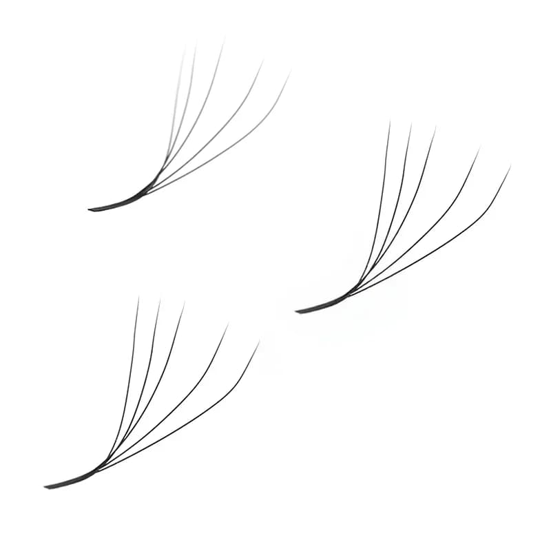 5D W Shape Mega Volume Premade Dense Fans